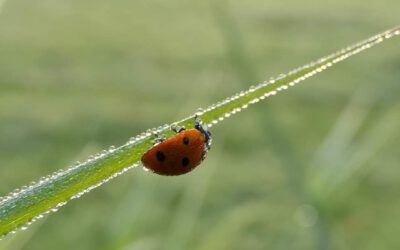 Onderweg